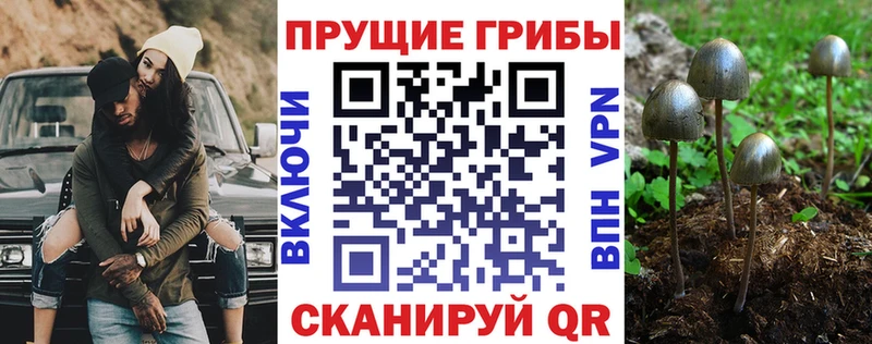 Купить  Темрюк  Галлюциногенные грибы прущие грибы 